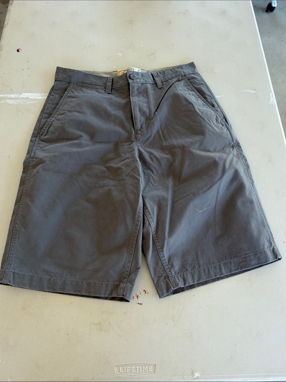 Transcript Flat-Front Gray Casual Shorts